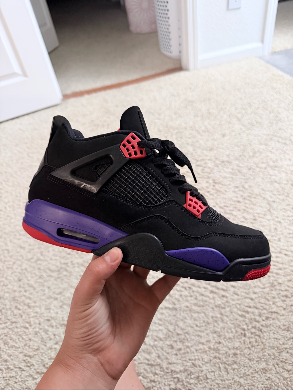 Jordan Retro 4 Raptors